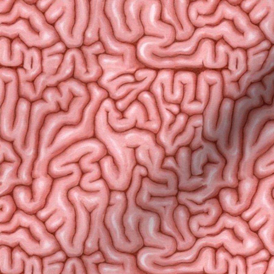 Natural Pink Brain Fabric